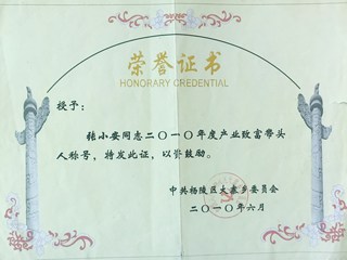 產(chǎn)業(yè)致富帶頭人榮譽(yù)獎(jiǎng)