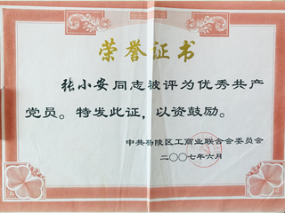 聯(lián)合委員會榮譽證書