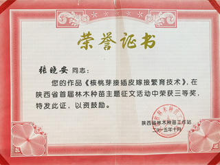 樹木嫁接論文獲獎榮譽證書