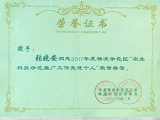 先進(jìn)工作個(gè)人獎(jiǎng)